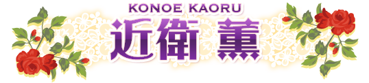 緋神 瑠衣 