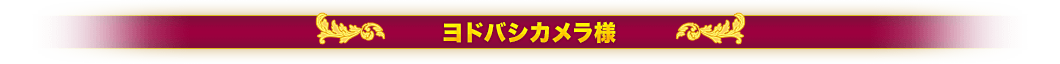 ヨドバシカメラ様