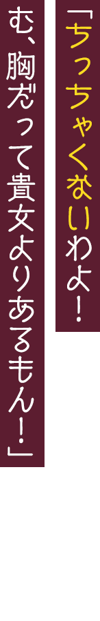 「ちっちゃくないわよ！　む、胸だって貴女よりあるもん！」