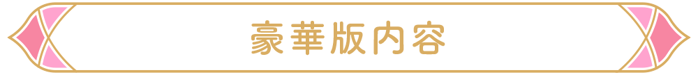 豪華版内容