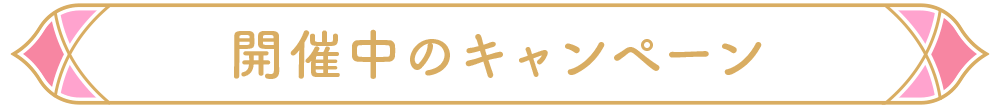 開催中のキャンペーン